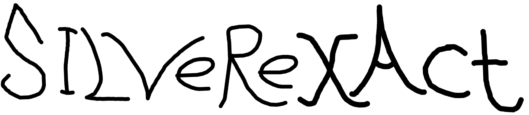 Silverexact Logo